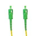 en-spcsm-scasca 3.webp