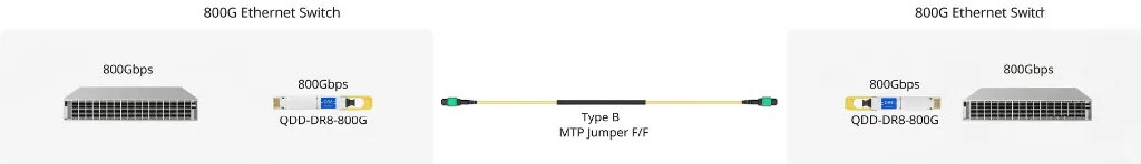 EN-QDD800-DR8-M16 800G DR8 to 800G DR8 example.webp